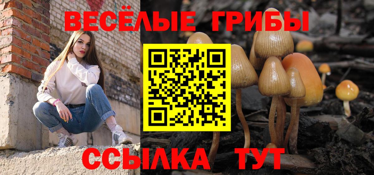 Псилоцибиновые грибы GOLDEN TEACHER Азов